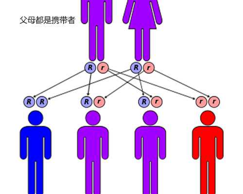 北京代生机构,北京市精子库申请条件,北京市人类精子库官网