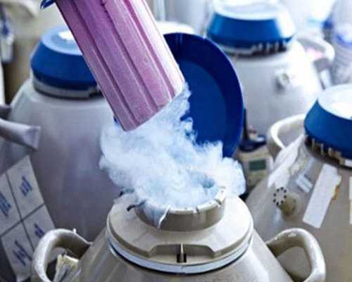 北京代怀专业吗,北京哪个医院能冷冻卵子,北京能冷冻卵子的医院