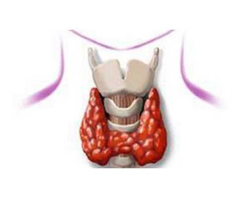 陕西三胎政策最新消息2026补贴：三胎产假多少天2026规定？