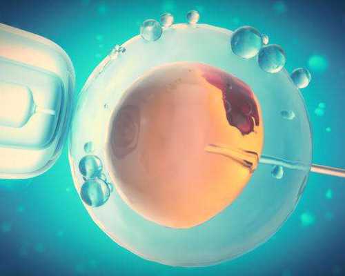 北京代孕网价格表,北京供卵包性别