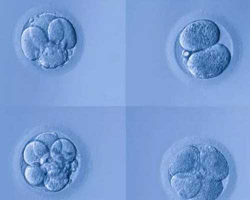 北京代怀网联系方式,北京人类精子库捐献者,北京人类精子库