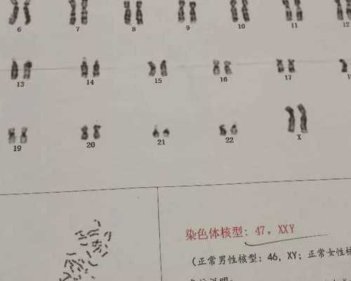 北京试管代孕正规医院,北京供卵生殖医院_北京私立生殖中心哪家好