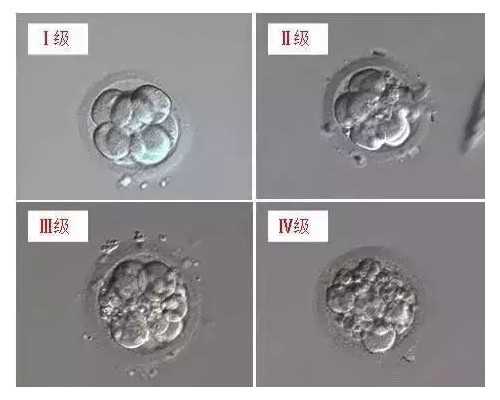北京哪个供卵医院,北京市试管供卵,2026北京市供卵试管生殖机构