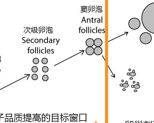 北京试管代孕私人医院,北京精子库捐献补偿,北京哪里可以捐献精子