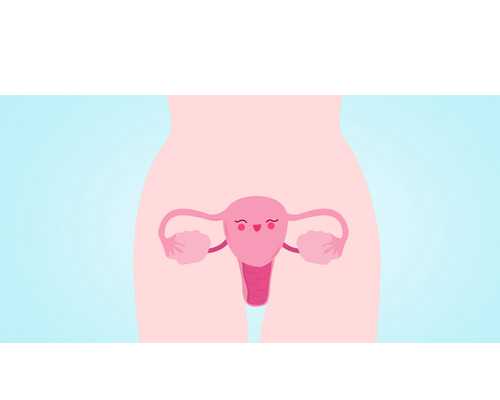 北京试管代怀好处,北京301医院供卵费用,北京家圆医院供卵费用