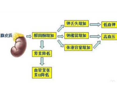 北京最靠谱代孕,北京妇产医院试管医生,北京妇产医院做试管费用