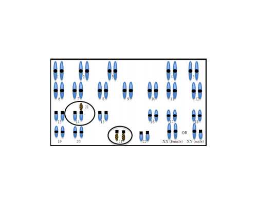 北京代怀技术官网,北京捐供卵试管婴儿生子,北京试管婴儿供卵捐卵