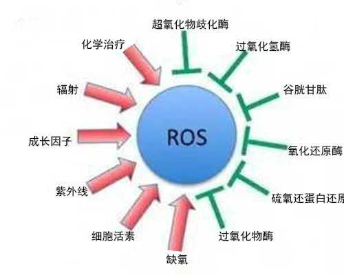 北京哪里代生比较好,北京宝岛医院试管多钱,北京宝岛医院试管成功率