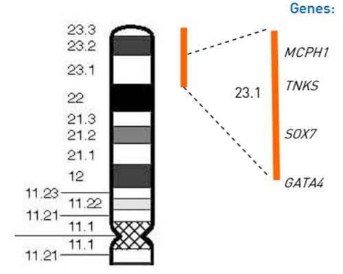 北京代怀产子公司,北京试管医院排名,北京十大试管婴儿医院排名