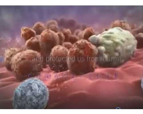 北京正规供卵套餐,北京精子库捐献者要求,北京人类精子库捐献要求