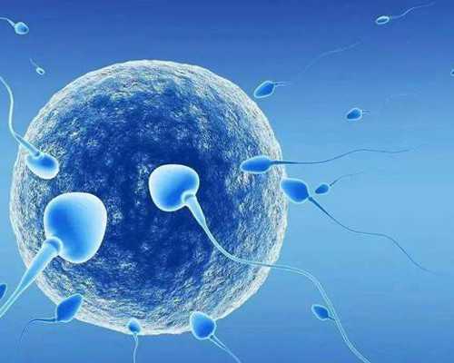 北京代孕孩子公司,北京精子库地址电话,北京精子库捐献地址