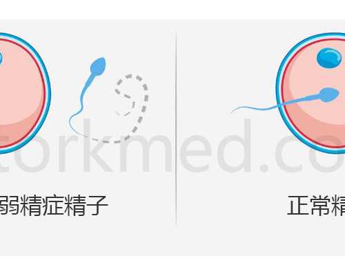 南医大二附院试管哪个医生好别还不造，这份新版排名速览