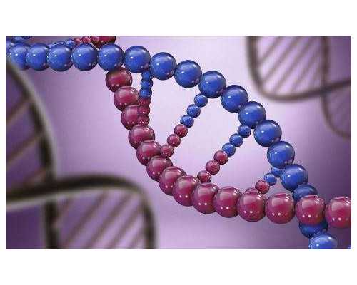 北京靠谱供卵试管,2026年北京育儿假最新规定？北京育儿假多少天？