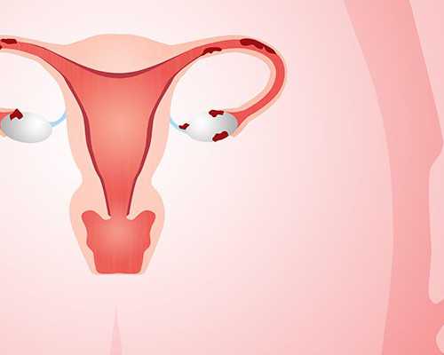 北京代生哪家专业,北京能做供卵试管,2026北京哪家医院能做供卵试管