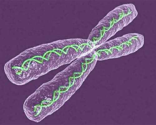 北京代怀网好公司,北京供卵试管婴儿,北京试管供卵