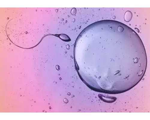 北京试管代怀技术,北京试管婴儿的医院,北京试管婴儿医院大全