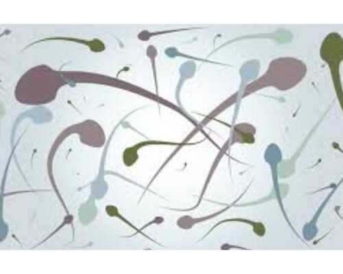 都2026年了，你还不知道国内和泰国试管供卵区别在哪吗？