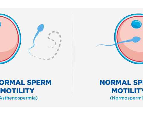 怀孕怎么就知道男孩女孩？怀孕初期有什么特征？