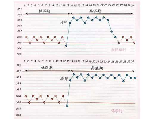 北京代怀公司官网,北京306医院介绍，北京306医院试管婴儿费用多少？