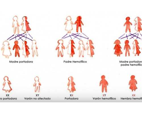 北京试管婴儿代孕医院,北京供卵相信李广,北京供卵有名李广