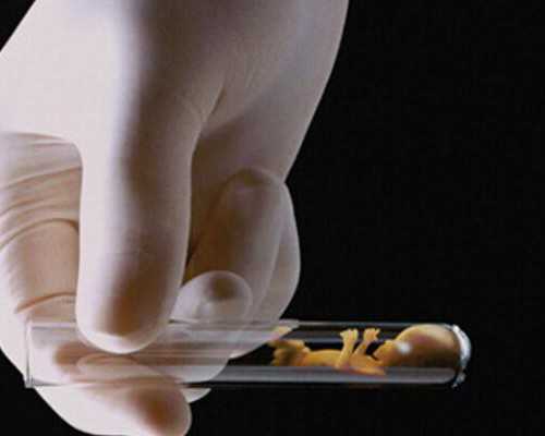 北京咨询代孕公司,北京协和医院试管,北京协和医院能做三代试管吗