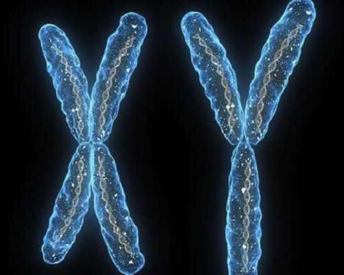 北京供卵助孕价格,北京供卵试管中介靠谱吗,北京供卵中介