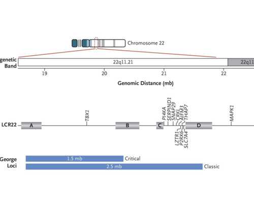 2026年三孩政策最新消息？2026年三胎奖励措施有哪些？