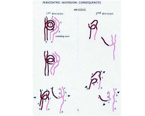 北京供卵包出生,北京供卵医院亲身经历,北京供卵生殖医院