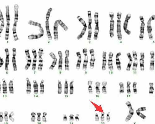 北京供卵哪里可以,北京三胎产假多少天？2026北京三胎有补贴吗？