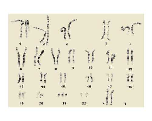 北京试管代怀报价,北京耳鼻喉网北京耳鼻喉网上问诊