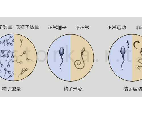 北京有代怀孕价格,北京协和医院供卵,北京协和医院有卵源吗