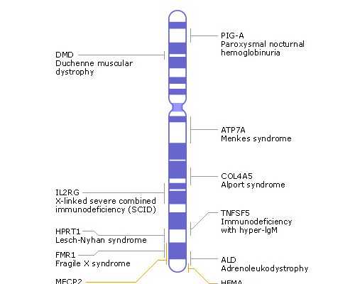 2026深圳能做三代试管代怀选男孩的医院排名？附详细信息？