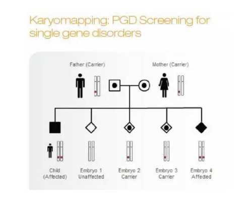 北京代怀孕靠谱吗,北京家圆医院供卵流程,北京家圆医院可以供卵