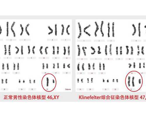 北京供卵生男孩,美国加州生殖中心FSAC的北京办事处是真的吗