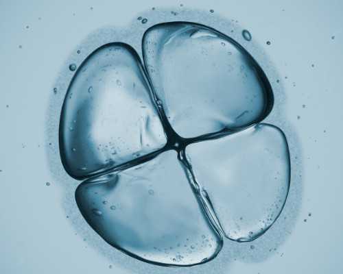 北京供卵代生服务,北京三院人类精子库,北京人类精子库给钱