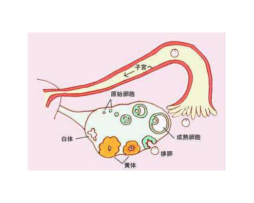 2026九价疫苗三针一共多少钱(进口九价疫苗价格表一览)