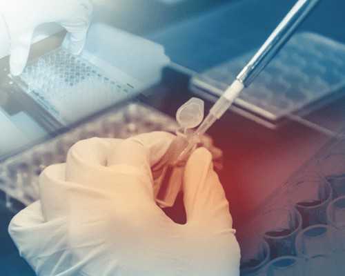 北京供卵哪家安全,北京可以存储的精子库,北京最大精子库