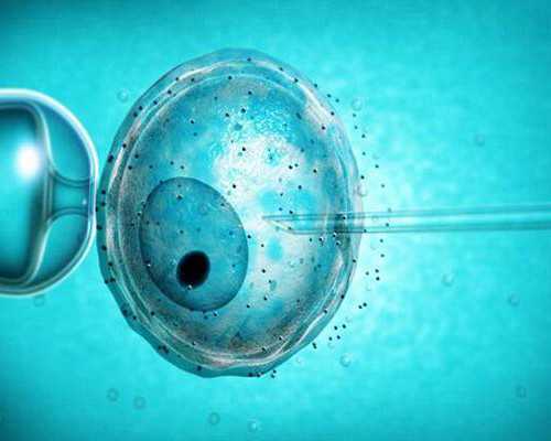 北京知名代怀公司,北京可以冷冻卵子的医院,北京可以冷冻卵子吗