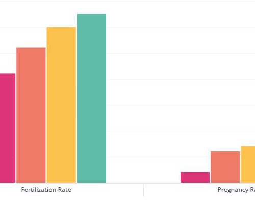 北京有供卵试管网,北京市供卵试管助孕机构,北京借卵生子的医院