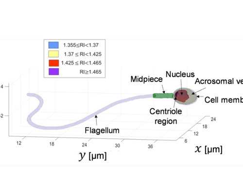 北京靠谱代生中心,北京幸孕星试管北京幸孕星国际试管靠谱不