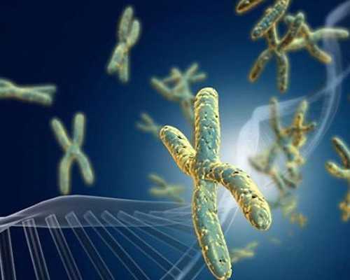 北京代生正规机构,北京试管私立医院哪家最好老北京人告诉你