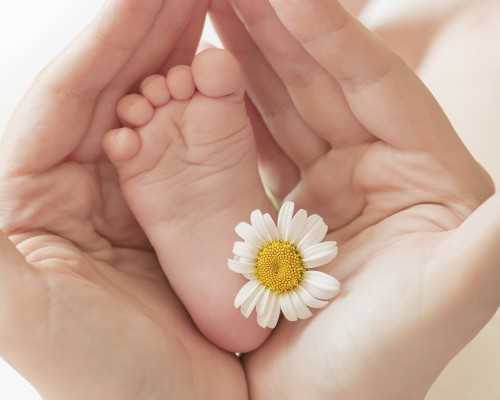 北京供卵代生儿子,北京家圆做试管多少钱？前期检查费用是多少?