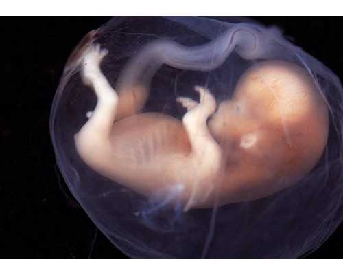 【北京三代供卵试管医院排名】北京做供卵试管婴儿最新价格标准