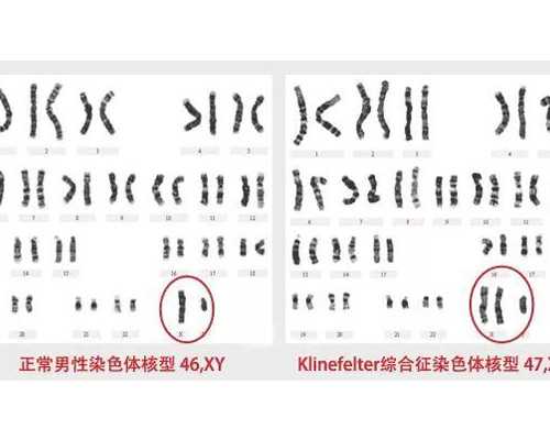 北京代孕网包龙凤胎,在北京可以做试管双胞胎吗?，北京试管双胞胎
