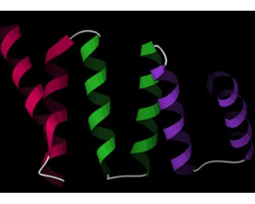 北京代孕哪里放心,北京供卵相信传承生殖放心,北京供卵到传承生殖