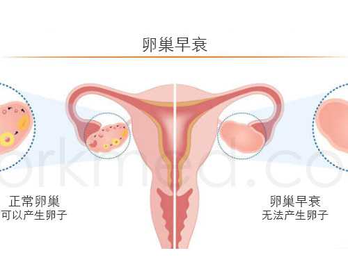 北京代怀生子医院,北京试管婴儿的费用,北京试管婴儿需要多少钱