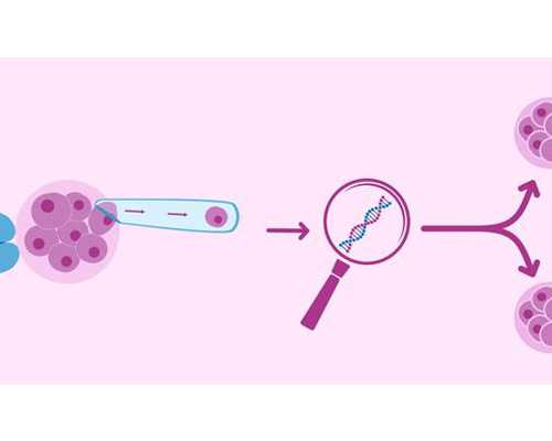 北京代孕可选男女,北京人类精子库博客,北京人类精子库给钱