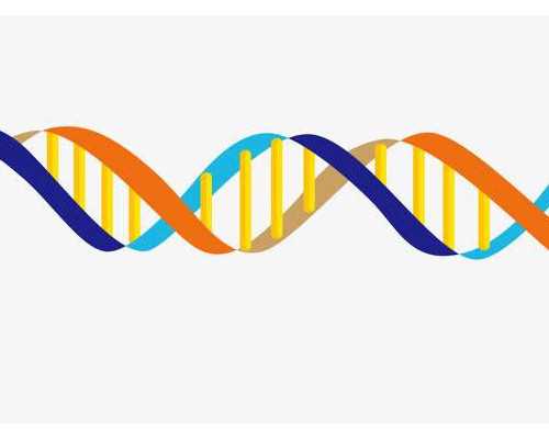 北京代生多少钱,北京高龄供卵成功率,北京人工授孕成功率