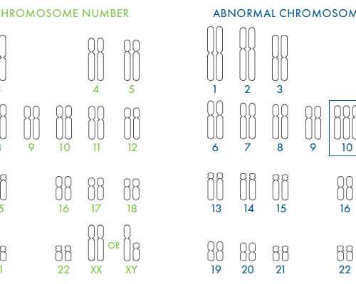 北京哪里有招代怀,北京有名的医院，北京和美医院看病怎么样