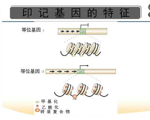 北京有供卵助孕吗,北京正规供卵医院_北京可以供卵的医院